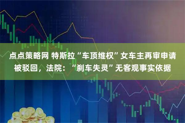 点点策略网 特斯拉“车顶维权”女车主再审申请被驳回，法院：“刹车失灵”无客观事实依据